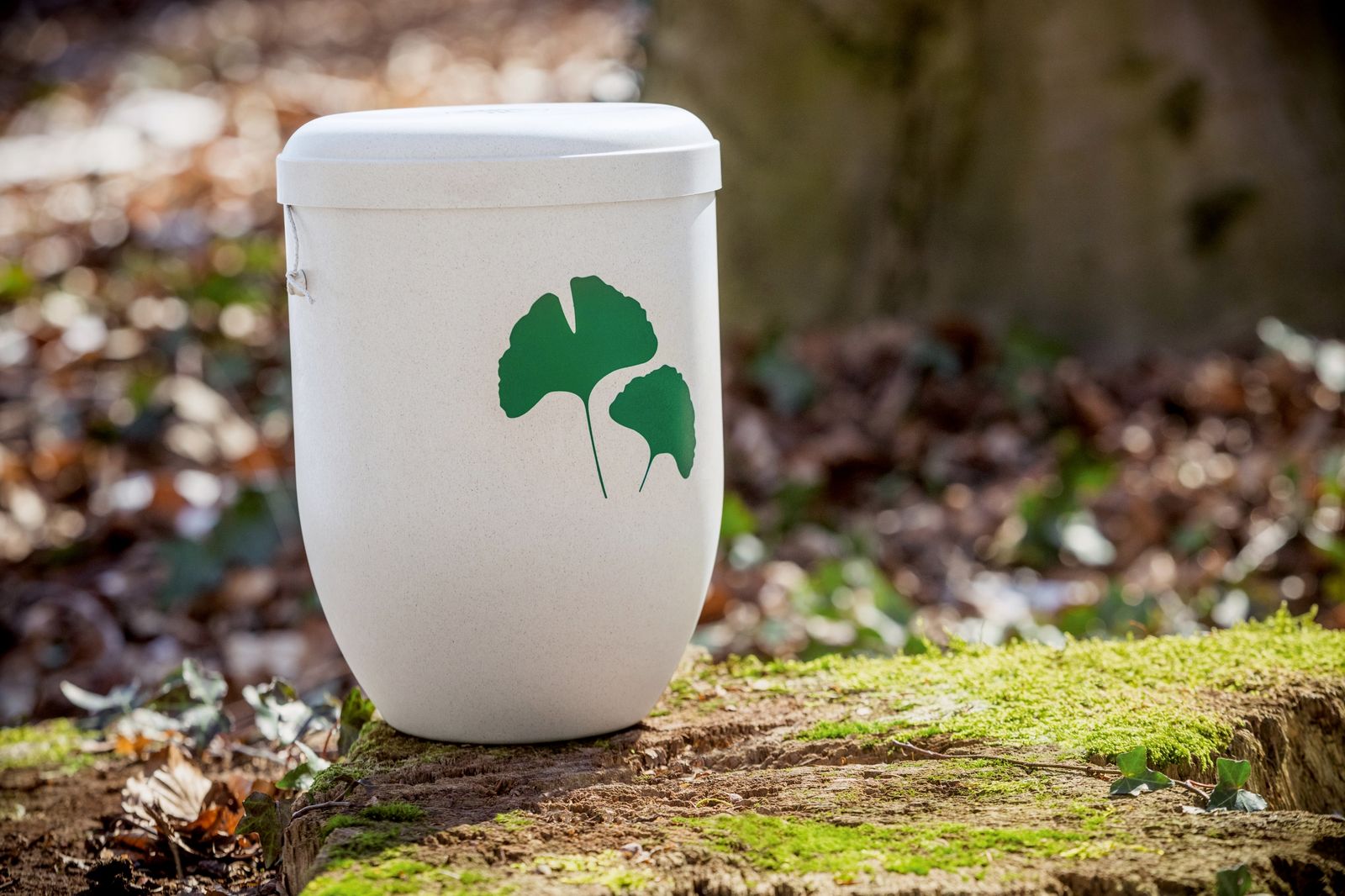 Mit Herz, Tradition und persönlichem Engagement